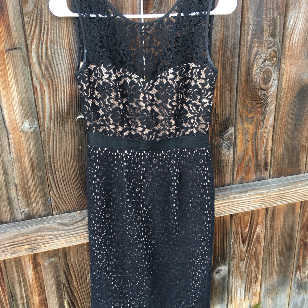 BCBG lace & eyelet business or cocktail dress - 0